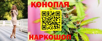 прущая мука Кингисепп