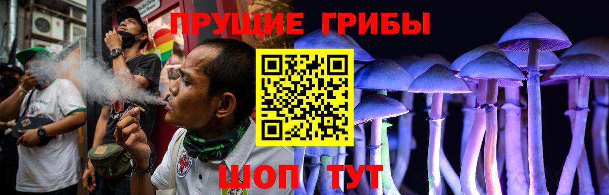 Псилоцибиновые грибы Psilocybine cubensis  Вход с VPN  Красноярск  Галлюциногенные грибы Cubensis 