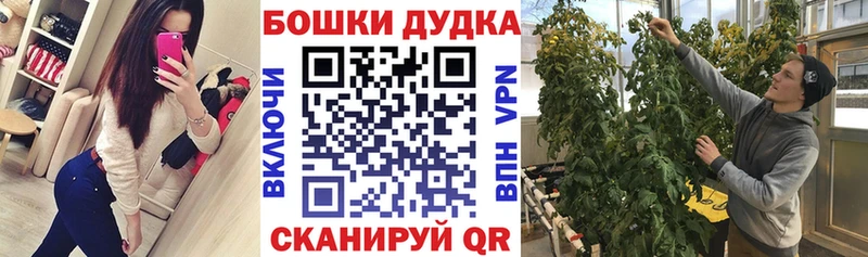 как найти закладки  Красноярск  Бошки марихуана ГИДРОПОН 